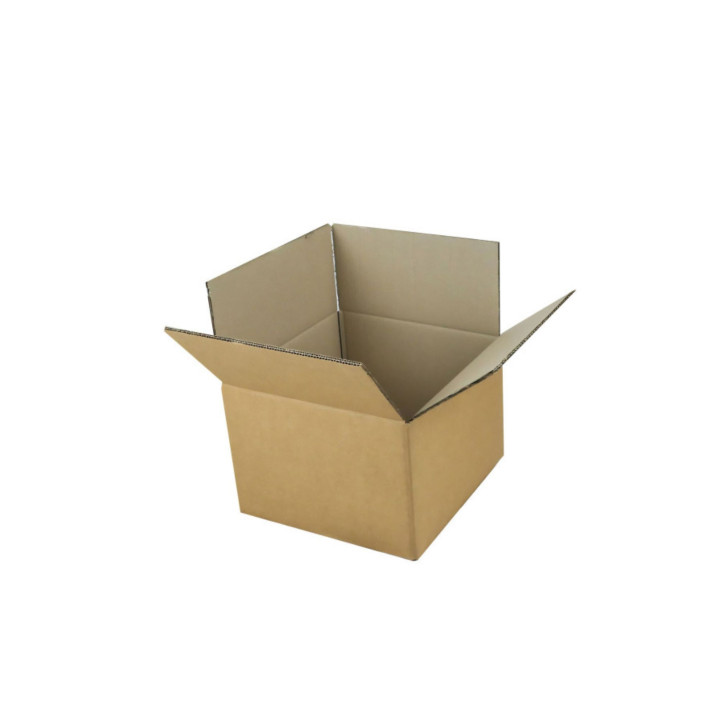 Caja de cartón de canal doble 30 x 25 x 20 cm