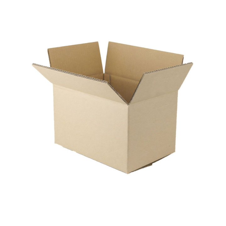 Caja de cartón de canal doble 31 x 22 x 15 cm