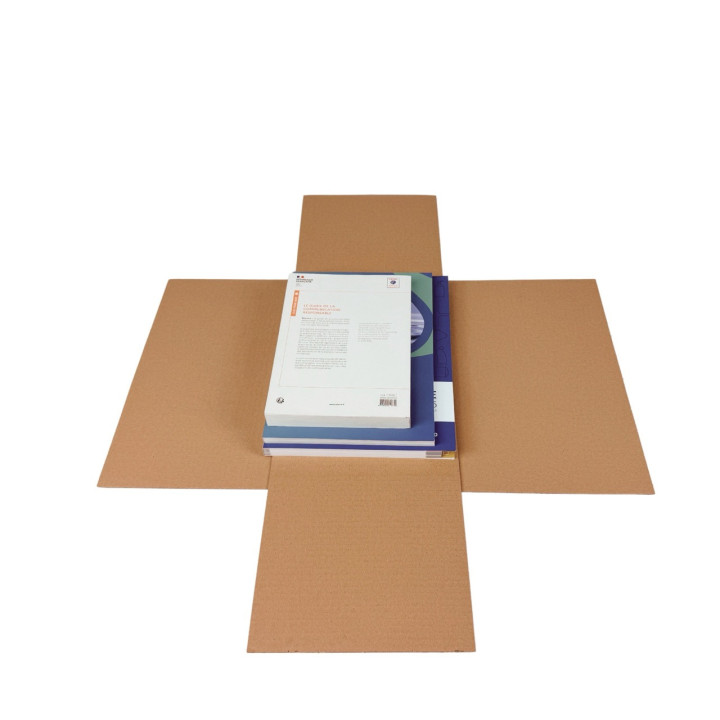 Caja de cartón para libros de formato A4