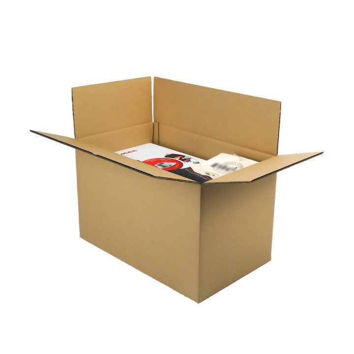 Caja de cartón de canal doble 60 x 30 x 30 cm