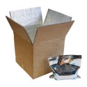 Caja de cartón isotérmica con foam aluminizado 20,5 x 20 x 19 cm