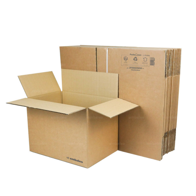 Caja Carton Mudanza Embalaje 35x25x25 X 10 Unidades