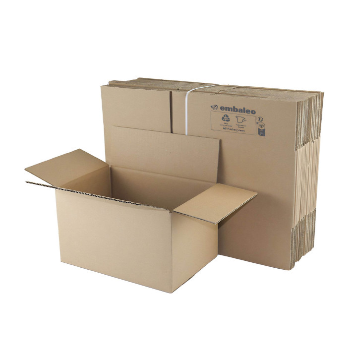 Caja de cartón canal simple 30 x 20 x 17 cm